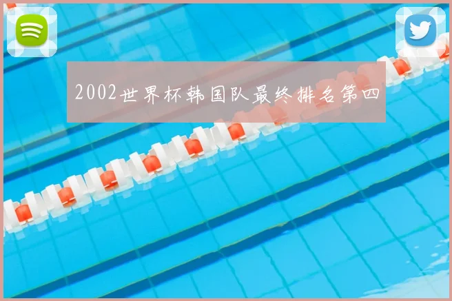 2002世界杯韩国队最终排名第四