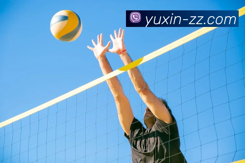 世界杯平台官网登录服务体系